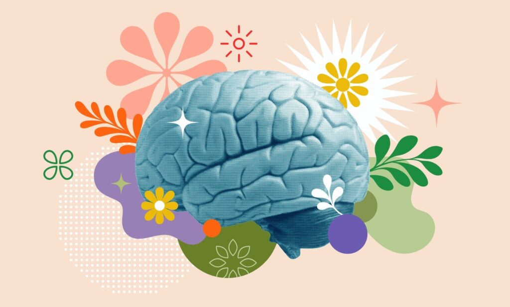 Brain