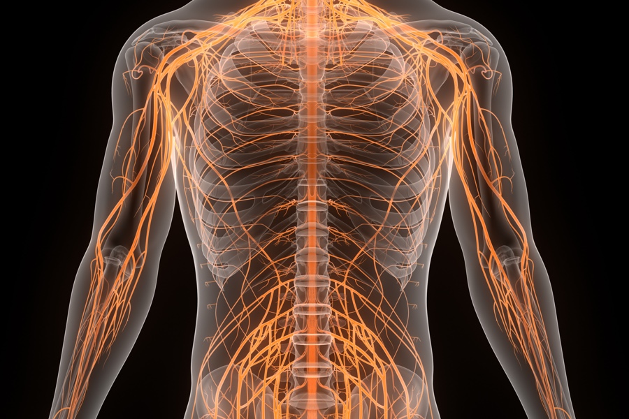 EDS / MCAS / POTS Diagnosis & Treatment