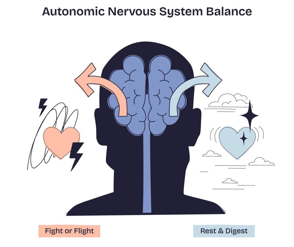 autonomic nervous system balance