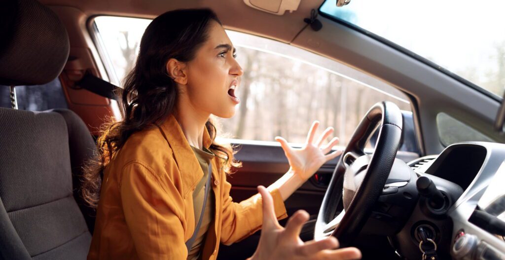 Understanding how the nervous system responds to chronic stress