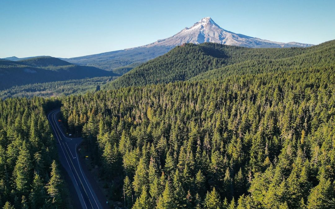 Finding an Ehlers-Danlos Syndrome (EDS) Specialist in Oregon: What to Look For