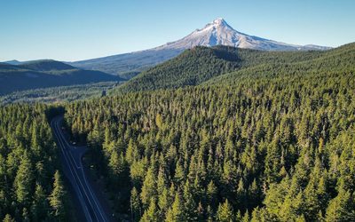 Finding an Ehlers-Danlos Syndrome (EDS) Specialist in Oregon: What to Look For